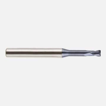 GMF19.jpg